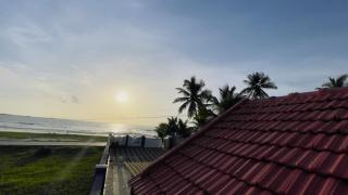 Sea shells on the seashore - 1
