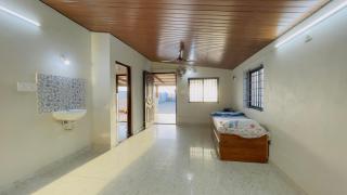 Sea shells on the seashore - 9