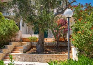 La Terrazza degli Ulivi - 4