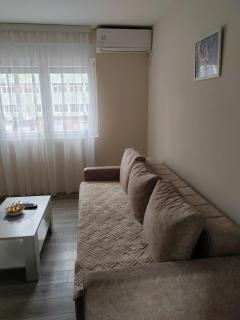 Jovana Apartman Vrnjacka Banja - Vrnjci - 8