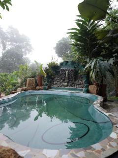 Taiga Forest Mountain Tree house - Wayanad - 9