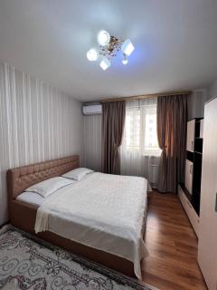 Апартаменты напротив спорткомплекса Almaty Arena - 9