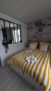 NOUVEAU AU COEUR DES CORDIERS ! QUARTIER HISTORIQUE - 0