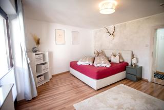 Ferienwohnungen zur Jägerin in Stamsried - Luftkurort - 0