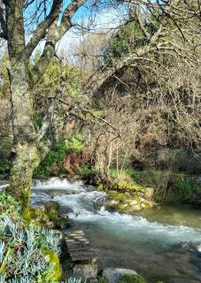 Fragas do Lobo - Casa da Azenha - 9