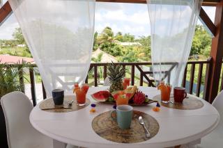 Villa O'Mangos hibiscus - 9