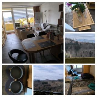 Waldperle Brockenblick im Panoramic Oberharz - 7