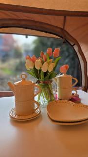 Witte Merel Glamping - 1