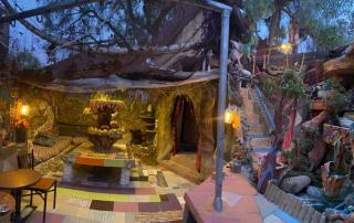 Adam's Tree House - 8