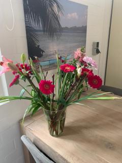 Gezellig Cottage Markdal met gratis fietsen - 6