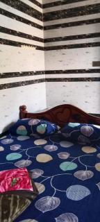 Town View Garden - 9