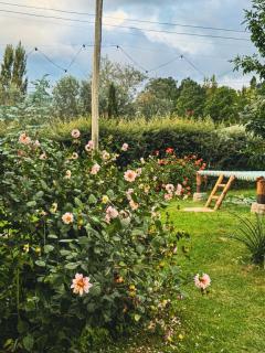 Cabañas de Montaña - 9