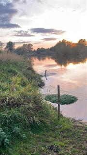 Stilvoller Bauhaus Bungalow mit Sauna in Lüneburger Heide für 8 Gäste - 5