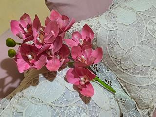 Comfort and wellness - 5