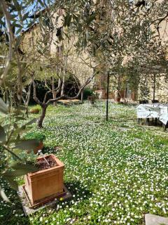 "Il Pollaio" guests house - 6