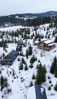 Trei Mândre by Cabana CeiTrei - 6