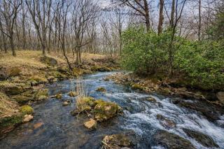 久住みんなの森ロッジ201号-Forest Solo Cabin最大2名ワンルーム - 6