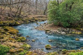 久住みんなの森ヴィラ-バレルサウナ付 - 4