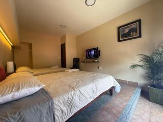 1 Centrico y lujoso apartamento en Atlíxco - 3