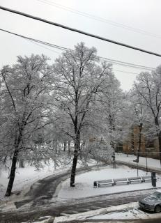 Parkview Apartment II Art & Design - 7