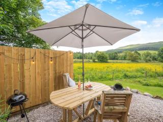 Freedom Fields - Bluebell - Straiton - 6