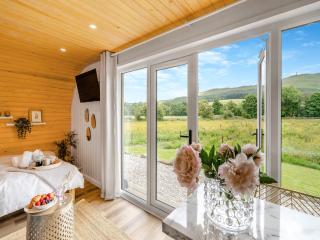 Freedom Fields - Bluebell - Straiton - 2