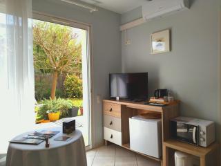 Fleurs de Cosmos Chambre d' hôtes Albi - 9