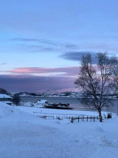 Svanetunet Sigfrida - 4