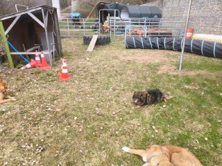 Simple 2-Person Apartment near Altdorf - 7