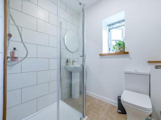 Dunnock - Uk50146 - 5