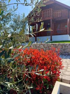 Cosy Cottage with Private Pool - Andrej - 8