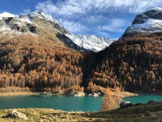 Hotel Valentino - Bionaz - 9