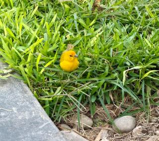 Killa 11 Selection - 7