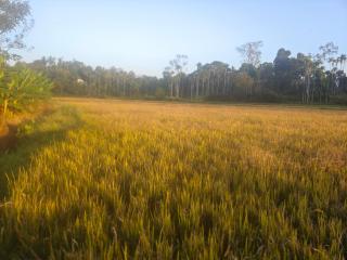 Celestial Homestay - 9