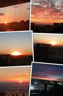 Le jardin d'habiba - 2