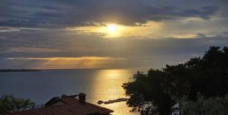 Holiday Apartment Marino - 2