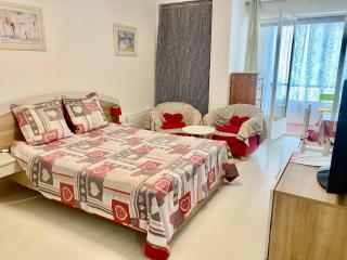 Studio tout équipé avec loggia, parking et Wi-Fi à 50m des cures - 2 pers - Animaux OK - FR-1-703-22 - 2