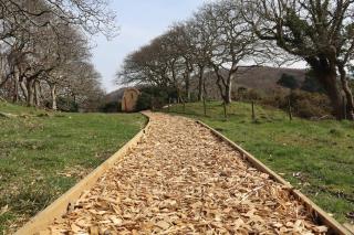 The Waterline Cabin & Hot Tub - 3