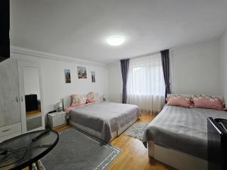 Vila Giulia Voineasa - 5