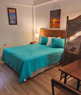 Bananaquit Tobago -Stay Near the Beach - 9