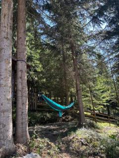 Perla Sarisorului - 8