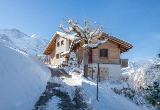 Chalet Silberhorn Penthouse - 6