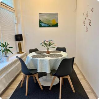 Amazing large 2,5rooms with terrace and parking! - 3