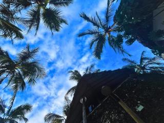 Serena Pousada Icaraí de Amontada - 4