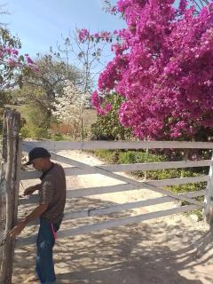 Sítio bem charmoso em São José da Varginha - 0