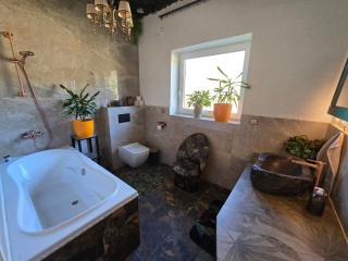 Shaman Puhkemaja - 1