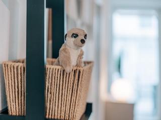 Natur & Ruhe I Fribourg I Bern I See & Berge - 9