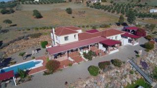 Finca Feliz Andaluz - 8