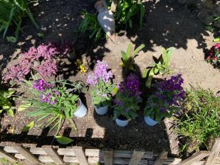 Albergue Vía de la Plata de Baños de Montemayor - 4