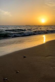 Apartamento Amy 4 - 8